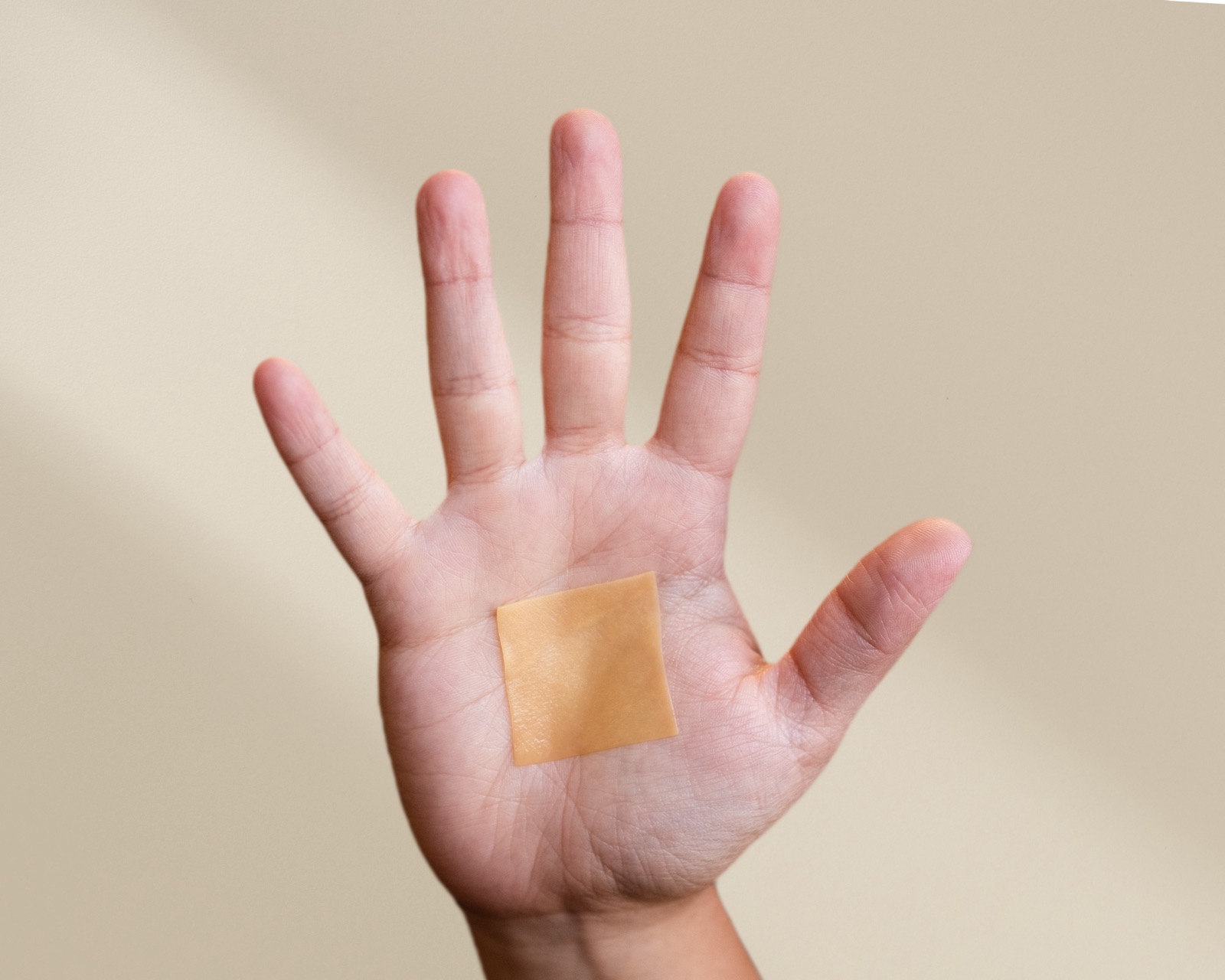 APIS® dressing resting on an open palm