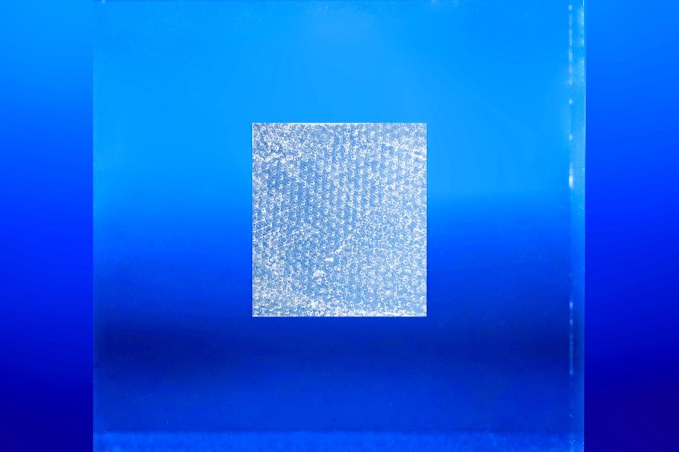 Membrane Wrap membrane against a blue background