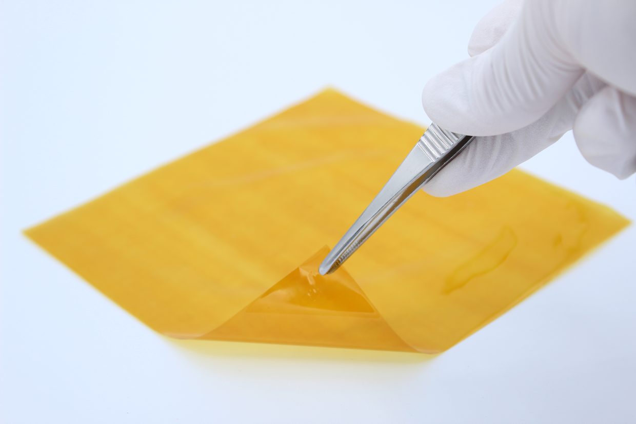The matrix laid flat, a corner lifted with forceps