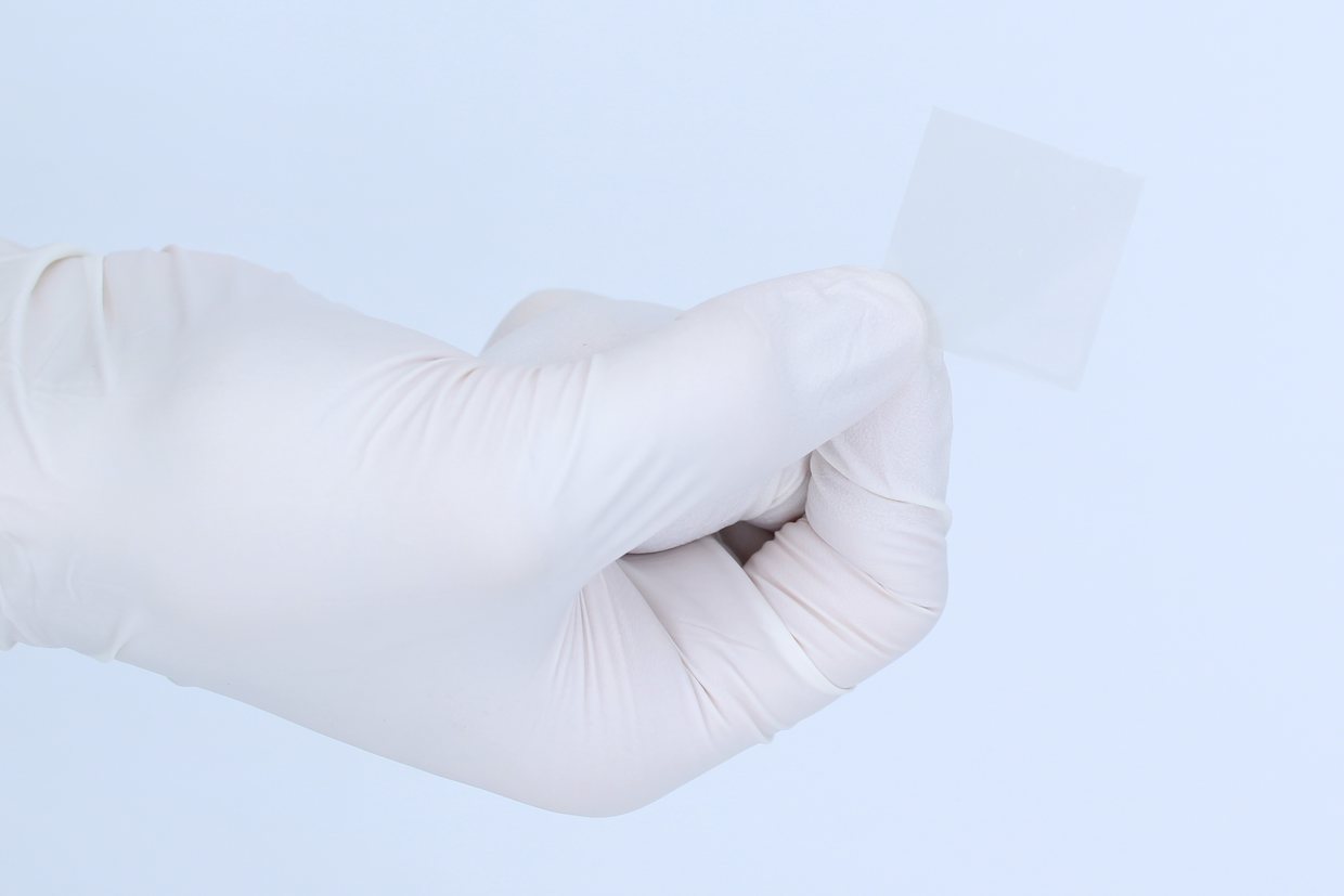 The dressing held in a gloved hand