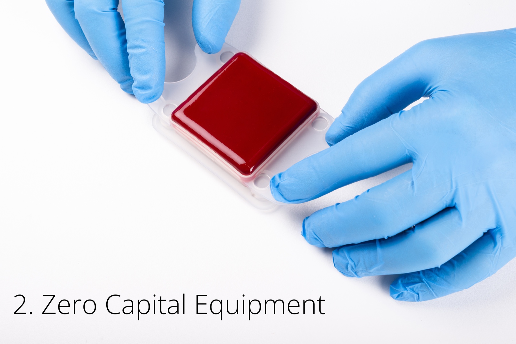 2. Capital Equipment-Free Processing